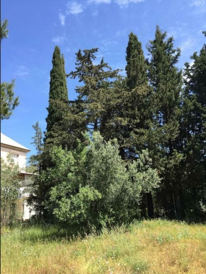 Villa Salomi Lefkáda Eksteriør bilde